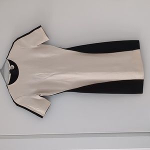 Wilfred Aritzia Two Tone Bodycon Dress in Black/Tan